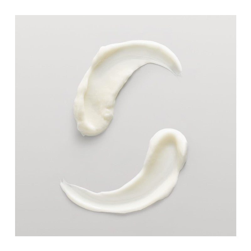 System Professional Hydrate Conditioner H2 example