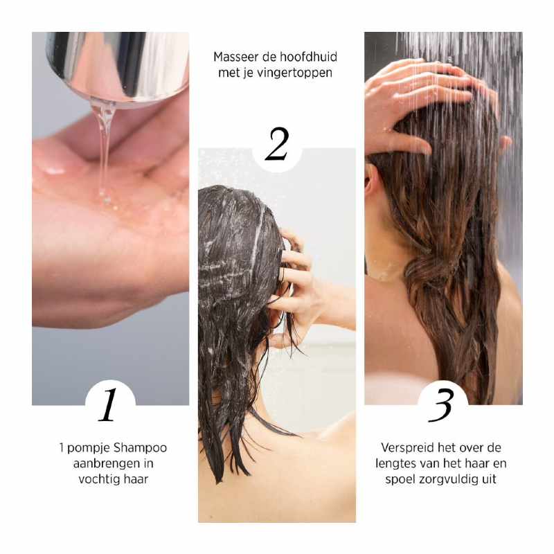 System Professional Inessence Shampoo use