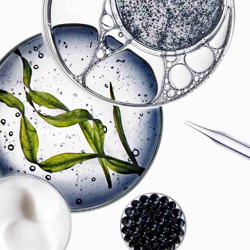 Kérastase Chronologiste Bain Régénérant Shampoo Ingredients