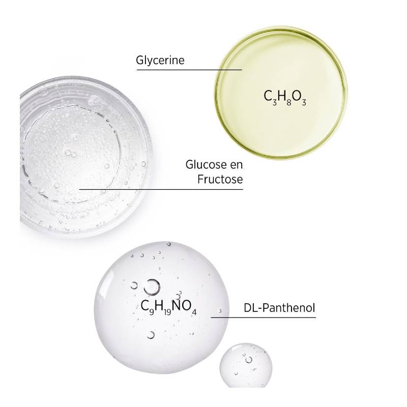 System Professional Hydrate Conditioner H2 ingredients