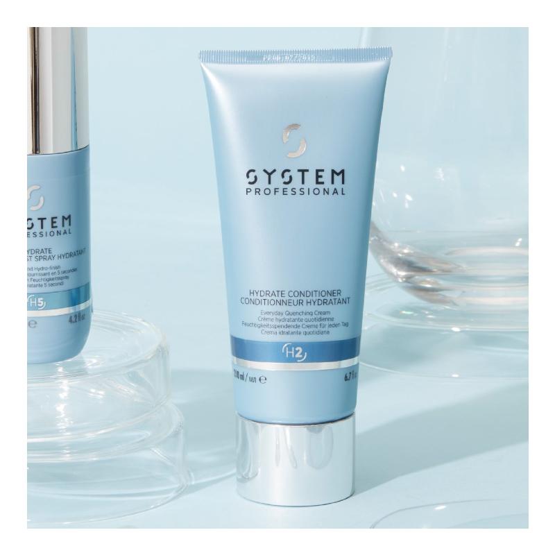 System Professional Hydrate Conditioner H2 atmosphere